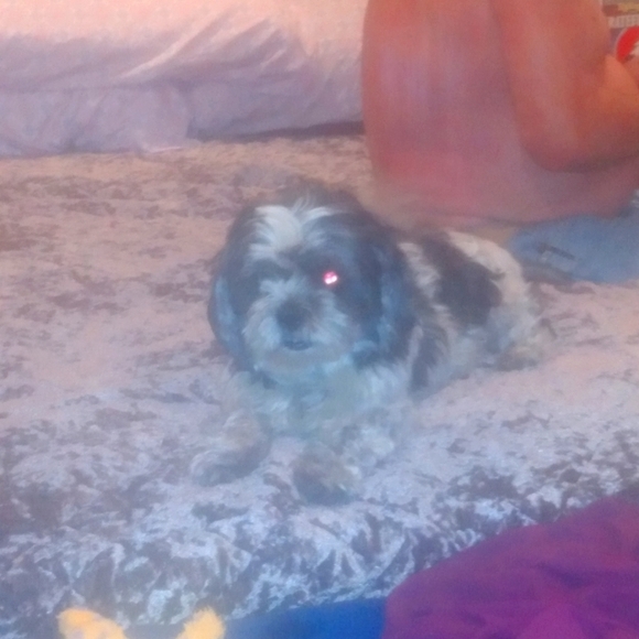 Meet your Posher, Jodi - Picture 1 of 4